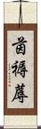 茵 Scroll