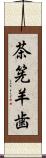 茶筅羊歯 Scroll