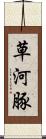 草河豚 Scroll