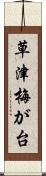 草津梅が台 Scroll