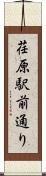 荏原駅前通り Scroll