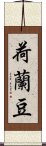 荷蘭豆 Scroll