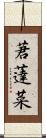 莙薘菜 Scroll