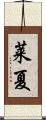 莱夏 Scroll