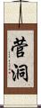 菅洞 Scroll