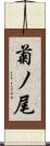 菊ノ尾 Scroll