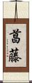 菖藤 Scroll
