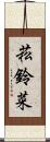 菘 Scroll