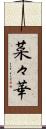 菜々華 Scroll