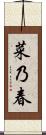 菜乃春 Scroll