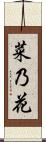 菜乃花 Scroll