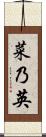 菜乃英 Scroll