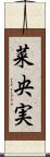 菜央実 Scroll