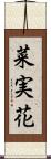 菜実花 Scroll