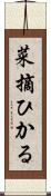 菜摘ひかる Scroll