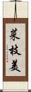 菜枝美 Scroll