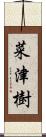 菜津樹 Scroll