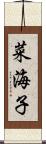 菜海子 Scroll