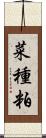 菜種粕 Scroll