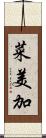 菜美加 Scroll