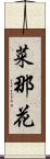 菜那花 Scroll