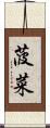 菠菜 Scroll