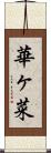 華ヶ菜 Scroll