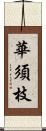 華須枝 Scroll