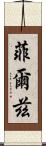 菲爾茲 Scroll