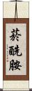 菸酰胺 Scroll