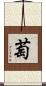 萄 Scroll