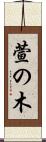 萱の木 Scroll