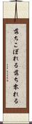 落ちこぼれる Scroll