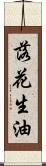 落花生油 Scroll