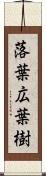 落葉広葉樹 Scroll