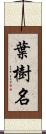 葉樹名 Scroll