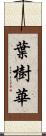 葉樹華 Scroll