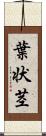 葉状茎 Scroll