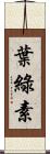 葉綠素 Scroll