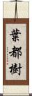 葉都樹 Scroll