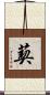 葜 Scroll