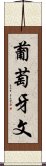 葡萄牙文 Scroll