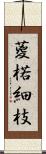 葼 Scroll