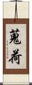 蒐荷 Scroll