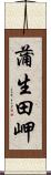 蒲生田岬 Scroll