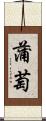 蒲萄 Scroll