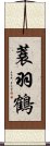 蓑羽鶴 Scroll