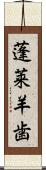 蓬莱羊歯 Scroll