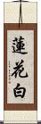 蓮花白 Scroll