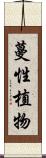 蔓性植物 Scroll